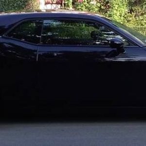 Meet your Posher, Carolyn